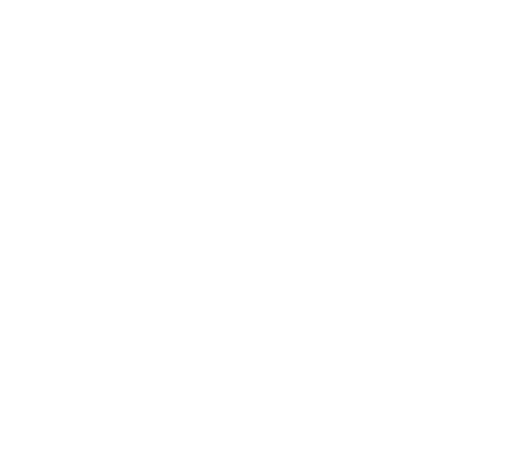 TikTok Icon